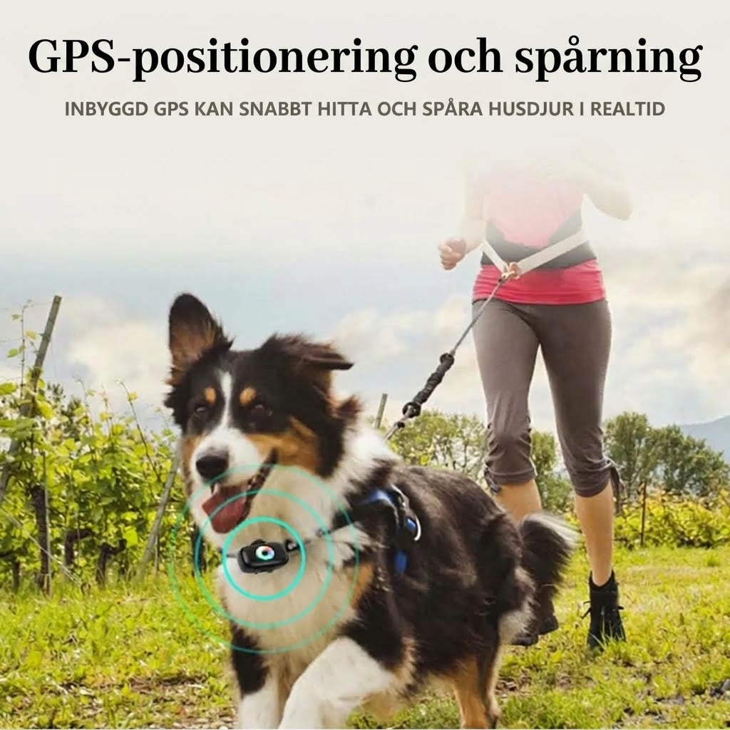 DogFenly Hundpejl