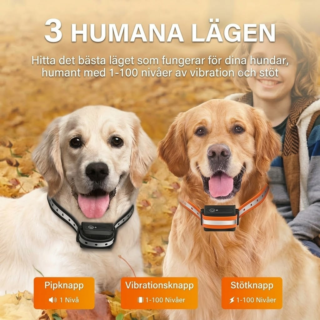 Pawtopie LED Halsband Hund