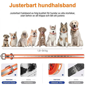 Pawtopie LED Halsband Hund