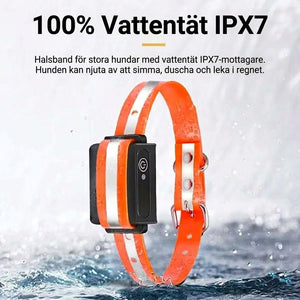Pawtopie LED Halsband Hund