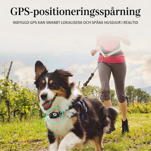 CatMaxe Katt GPS Halsband