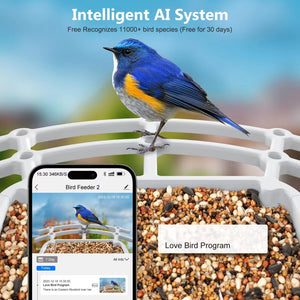 ChipaPix Smart Bird Feeder