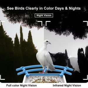 ChipaPix Smart Bird Feeder