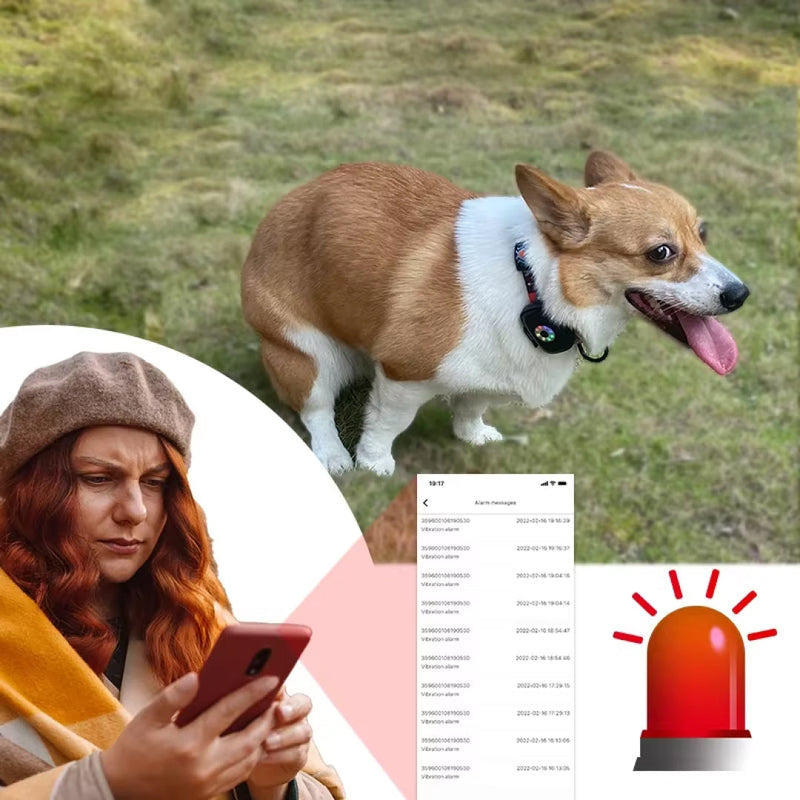 DogFenly Hundpejl_17